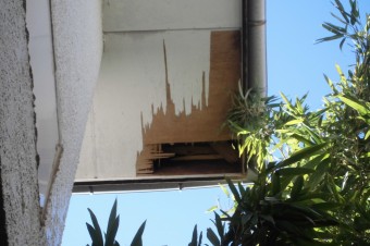 既存写真 CIMG0882